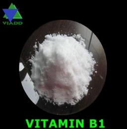 Vitamin B1 Feed additives (Thiamine HCL,Thiamine Mononitrate)