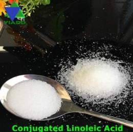 Conjugated Linoleic Acid