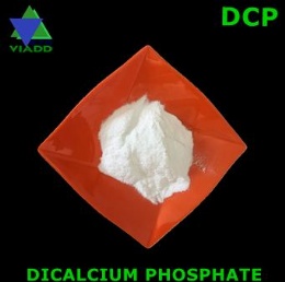 Dicalcium Phosphate(DCP)