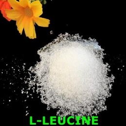 L-Leucine