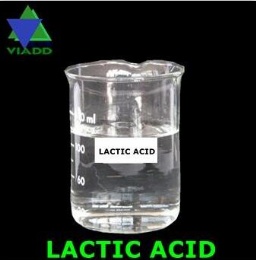 Lactic Acid